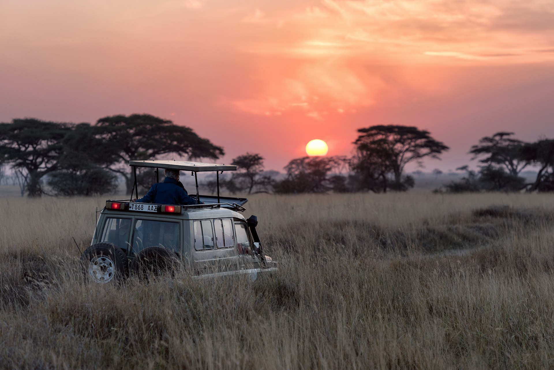 Safari en África